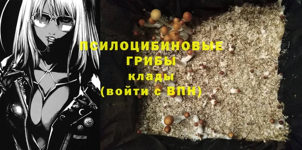 твердый Новокубанск