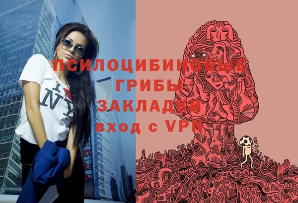 мескалин Новозыбков