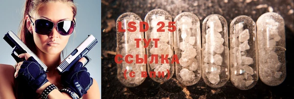 ПСИЛОЦИБИНОВЫЕ ГРИБЫ Новодвинск