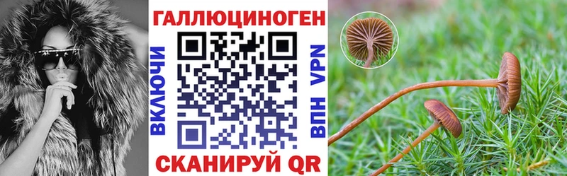 Галлюциногенные грибы Psilocybe  Остров 